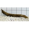 Bogwood 99