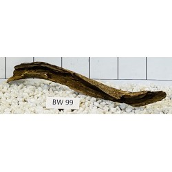 Bogwood 99