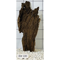 Bogwood 100