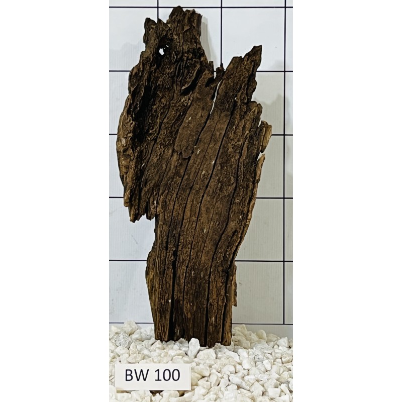 Bogwood 100