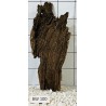 Bogwood 100