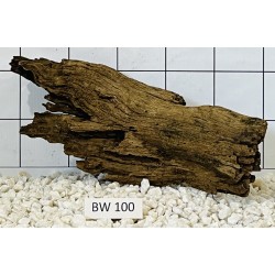Bogwood 100