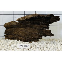 Bogwood 100