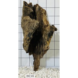 Bogwood 101