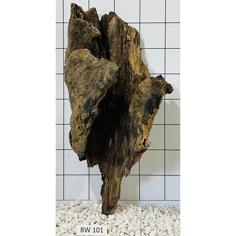 Bogwood 101