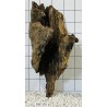 Bogwood 101