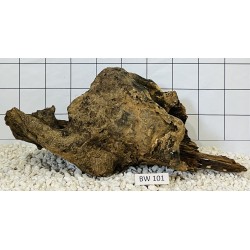 Bogwood 101