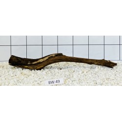 Bogwood 49
