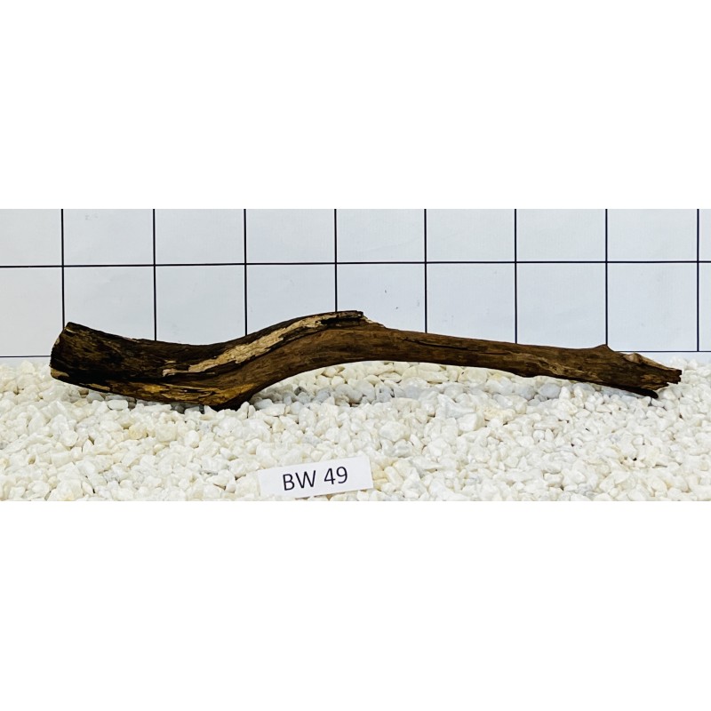 Bogwood 49