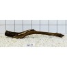 Bogwood 49