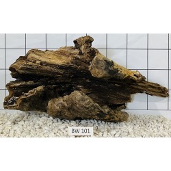 Bogwood 101