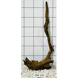 Bogwood 102