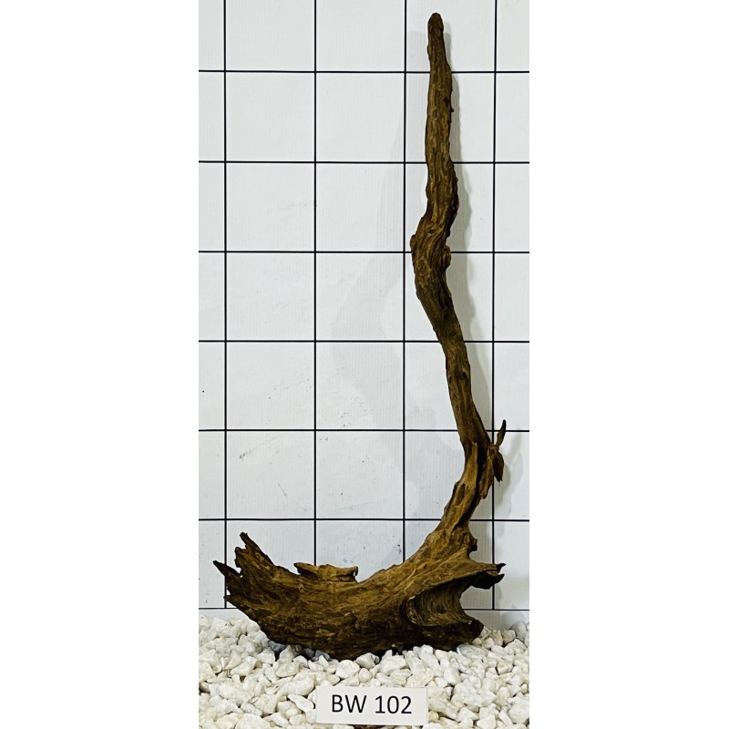 Bogwood 102