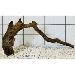 Bogwood 102
