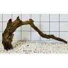 Bogwood 102