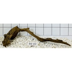 Bogwood 102