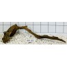 Bogwood 102