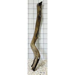 Bogwood 103