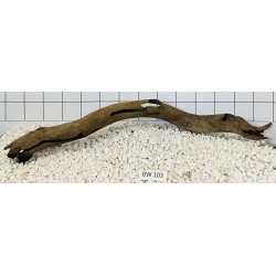 Bogwood 103