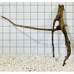 Bogwood 104