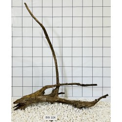 Bogwood 104