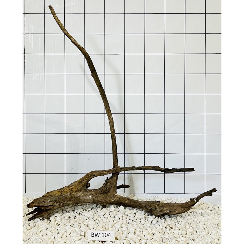 Bogwood 104