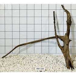 Bogwood 104