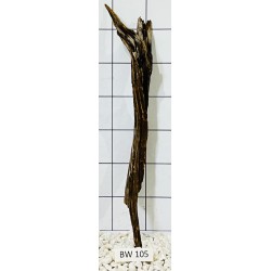Bogwood 105
