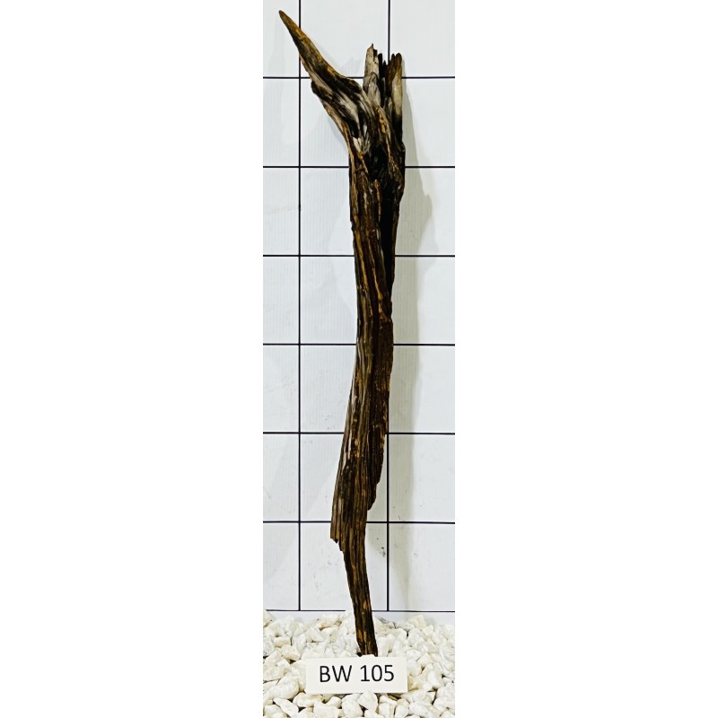 Bogwood 105