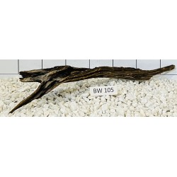 Bogwood 105