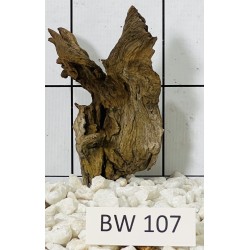 Bogwood 107