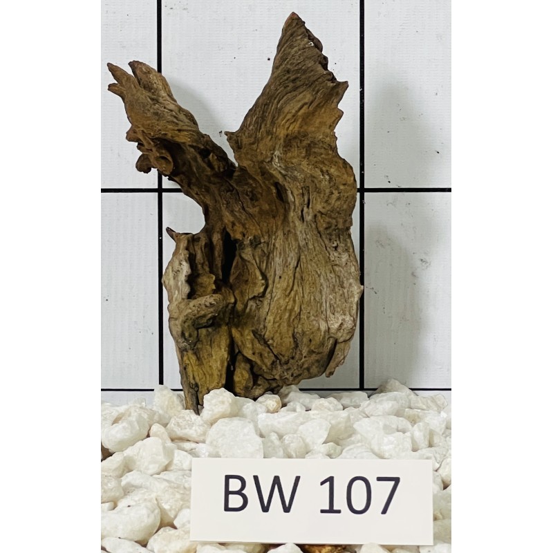 Bogwood 107