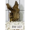 Bogwood 107
