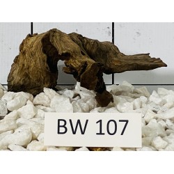 Bogwood 107