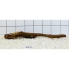 Bogwood 49