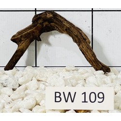 Bogwood 109