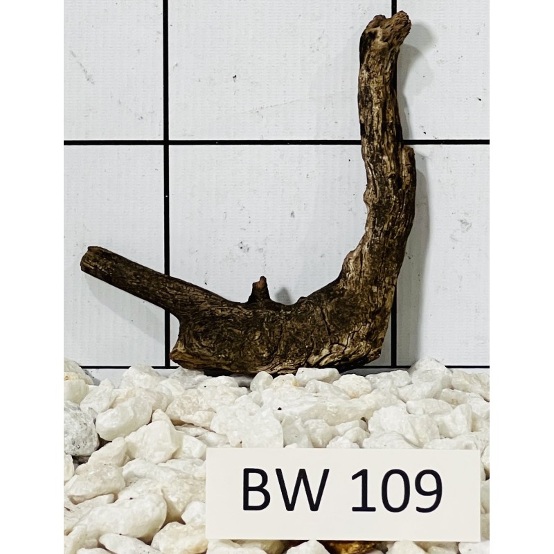 Bogwood 109