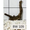 Bogwood 109