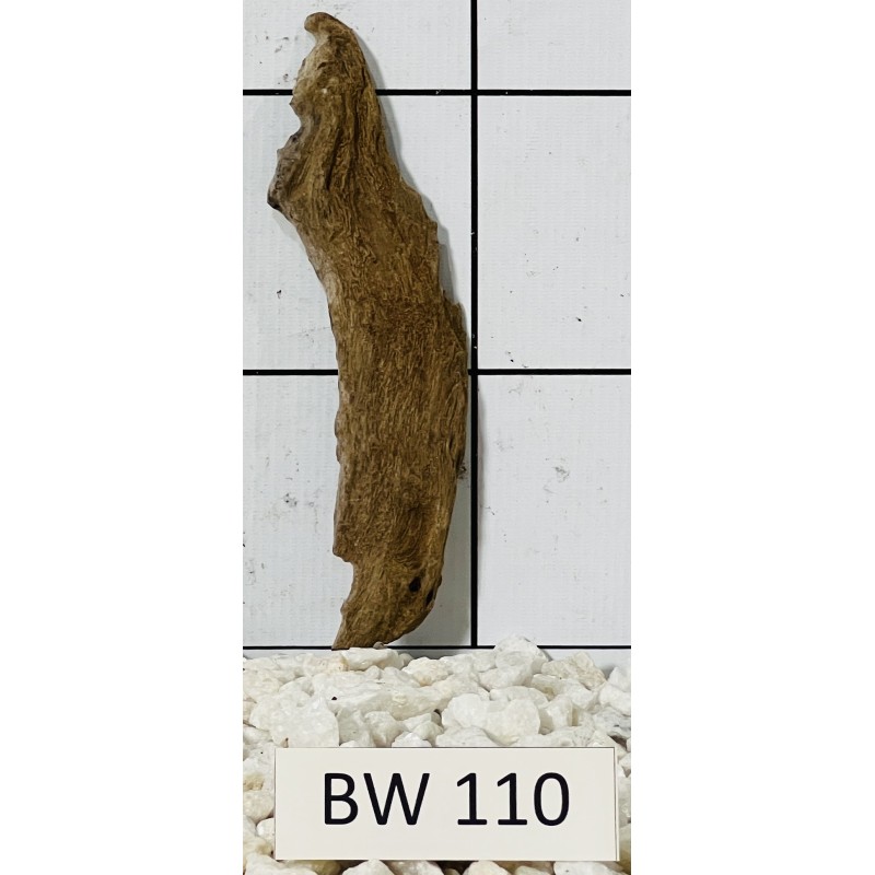 Bogwood 110