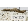 Bogwood 110