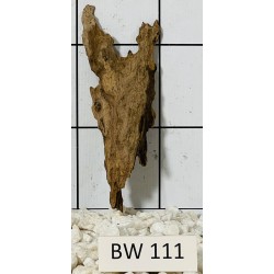 Bogwood 111