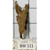 Bogwood 111
