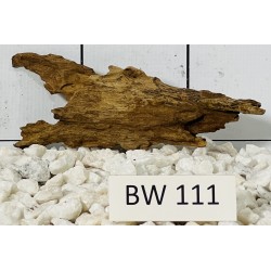 Bogwood 111