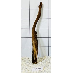 Bogwood 49