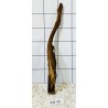 Bogwood 49