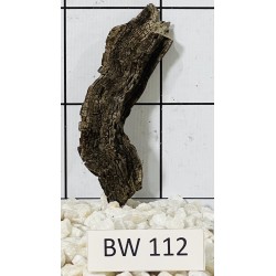 Bogwood 112