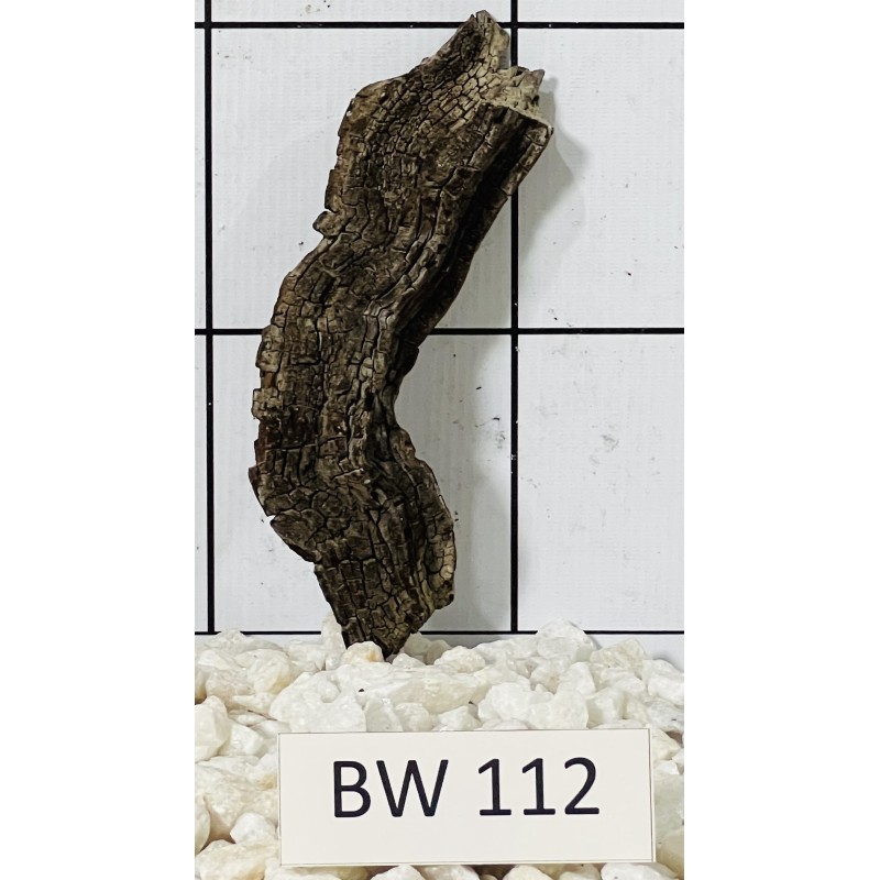 Bogwood 112