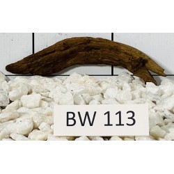 Bogwood 113
