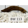 Bogwood 113