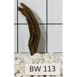 Bogwood 113
